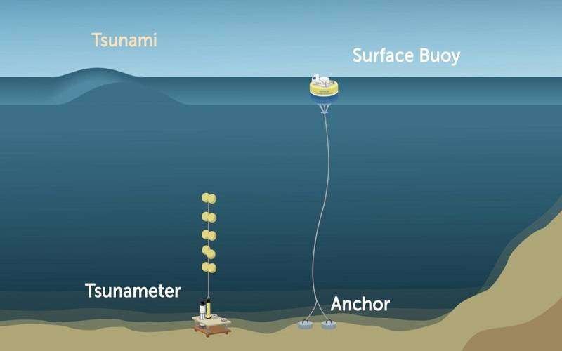 tsunami prediction